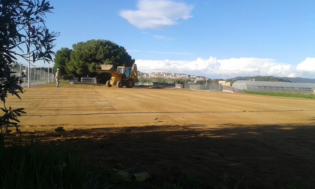 servicios