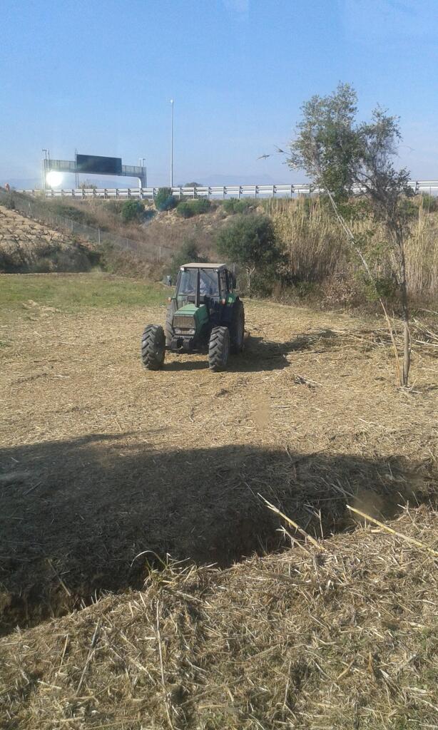 servicios